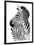 Richard The Zebra-null-Framed Premium Giclee Print