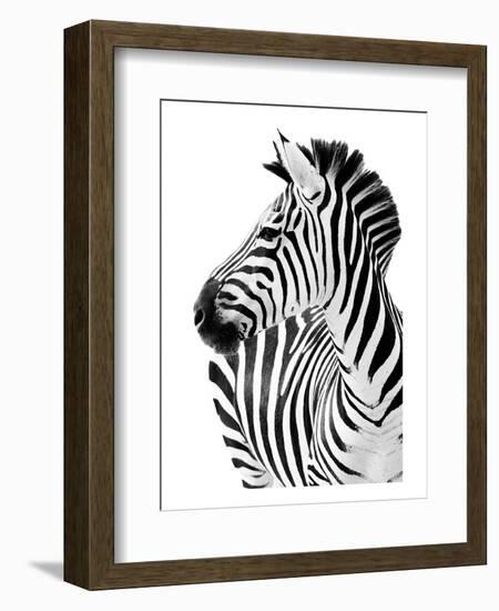 Richard The Zebra-null-Framed Art Print