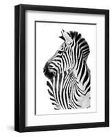 Richard The Zebra-null-Framed Art Print