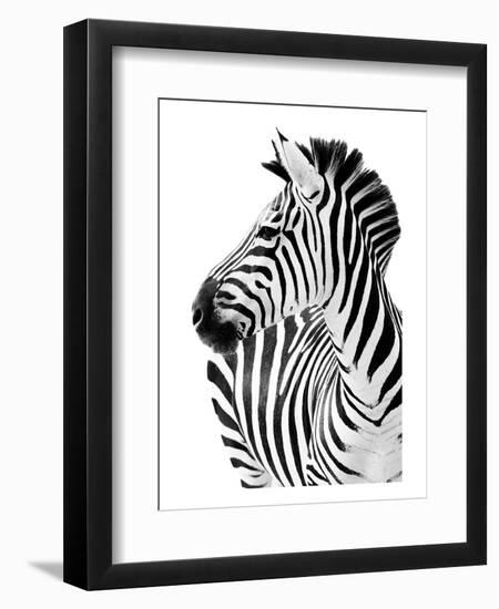 Richard The Zebra-null-Framed Art Print