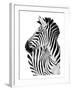 Richard The Zebra-null-Framed Art Print