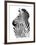 Richard The Zebra-null-Framed Art Print