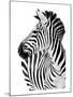 Richard The Zebra-null-Mounted Art Print