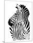 Richard The Zebra-null-Mounted Art Print