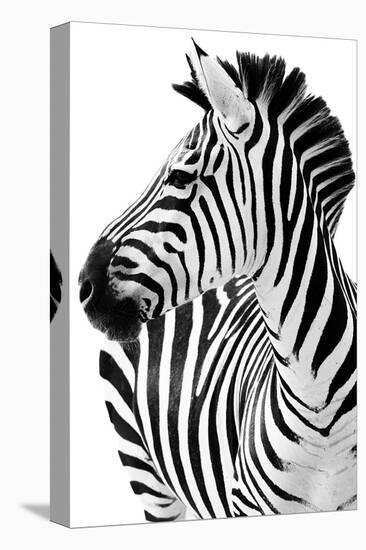 Richard The Zebra-null-Stretched Canvas
