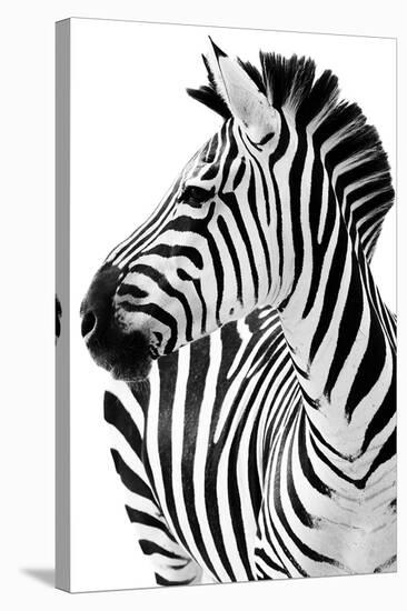 Richard The Zebra-null-Stretched Canvas