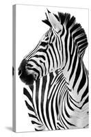 Richard The Zebra-null-Stretched Canvas