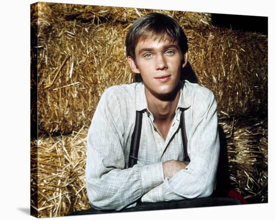 Richard Thomas - The Waltons-null-Stretched Canvas