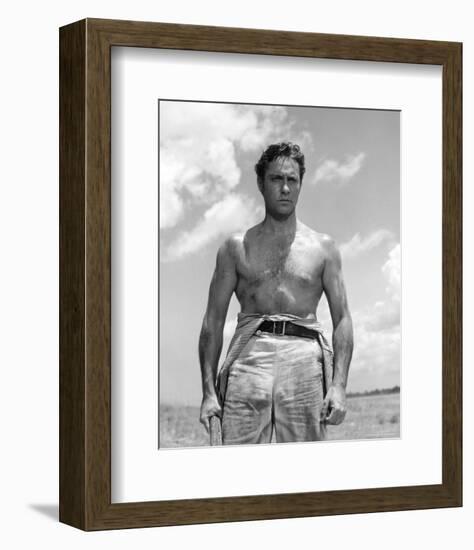 Richard Todd-null-Framed Photo