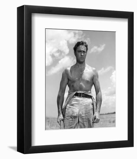 Richard Todd-null-Framed Photo