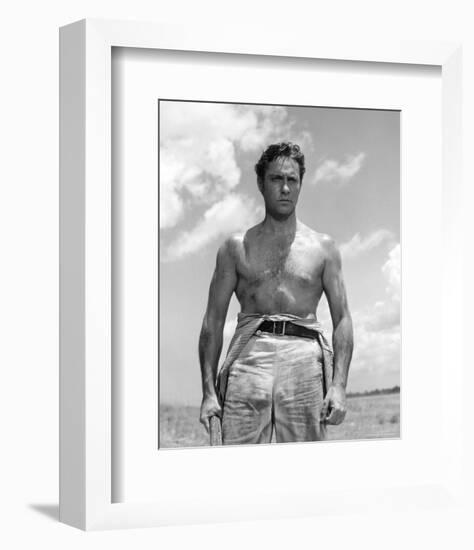 Richard Todd-null-Framed Photo