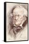 Richard Wagner-null-Framed Stretched Canvas