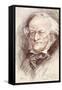 Richard Wagner-null-Framed Stretched Canvas