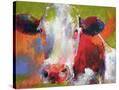 Stretched Canvas