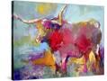 Stretched Canvas
