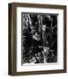 Richard Widmark-null-Framed Photo