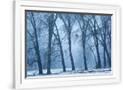 Gramercy White