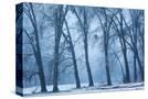 Stretched Canvas