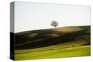 Stretched Canvas
