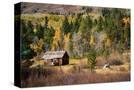 Stretched Canvas