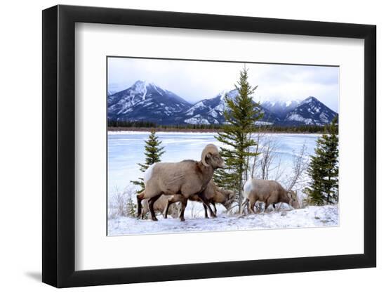 Photographic Print, , large