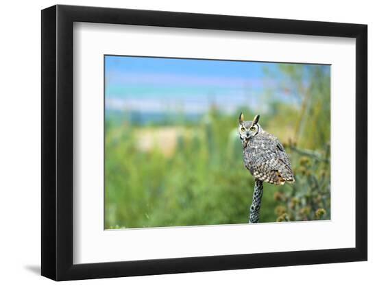 Premium Photographic Print, , large