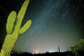 Cactus Color Photography Posters Prints Paintings Wall Art Allposters Com