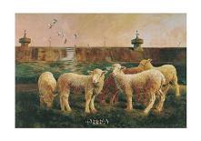 Five Lambs, 1988-Richard Yaco-Art Print