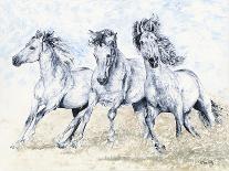 Arabian Knights-Richard Young-Giclee Print