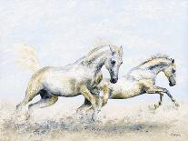 Arabian Folly-Richard Young-Giclee Print