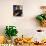 Richie Sambora-null-Photo displayed on a wall