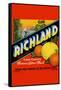 Richland Brand-null-Framed Stretched Canvas