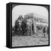 Richly Adorned Elephants and Carriage of the Maharaja of Rewa at the Delhi Durbar, India, 1903-Underwood & Underwood-Framed Stretched Canvas
