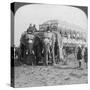 Richly Adorned Elephants and Carriage of the Maharaja of Rewa at the Delhi Durbar, India, 1903-Underwood & Underwood-Stretched Canvas