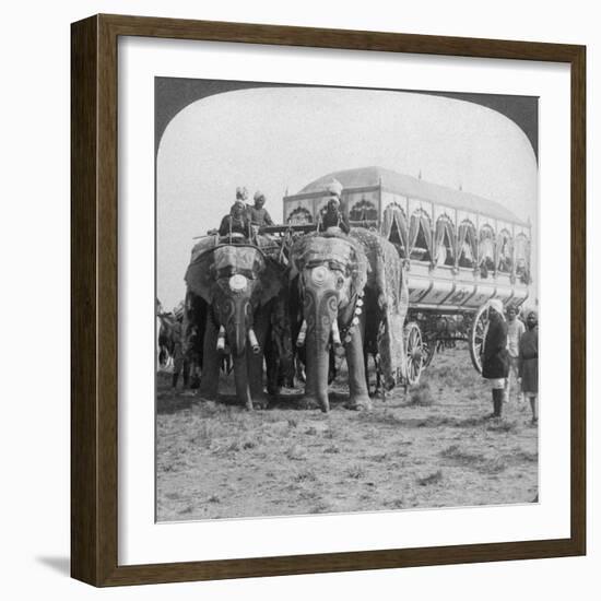 Richly Adorned Elephants and Carriage of the Maharaja of Rewa at the Delhi Durbar, India, 1903-Underwood & Underwood-Framed Giclee Print