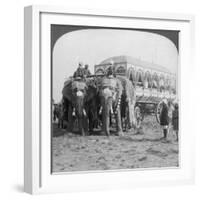 Richly Adorned Elephants and Carriage of the Maharaja of Rewa at the Delhi Durbar, India, 1903-Underwood & Underwood-Framed Giclee Print