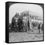 Richly Adorned Elephants and Carriage of the Maharaja of Rewa at the Delhi Durbar, India, 1903-Underwood & Underwood-Framed Stretched Canvas
