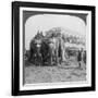 Richly Adorned Elephants and Carriage of the Maharaja of Rewa at the Delhi Durbar, India, 1903-Underwood & Underwood-Framed Giclee Print