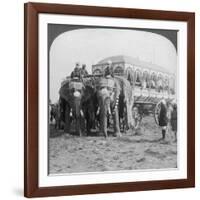 Richly Adorned Elephants and Carriage of the Maharaja of Rewa at the Delhi Durbar, India, 1903-Underwood & Underwood-Framed Giclee Print