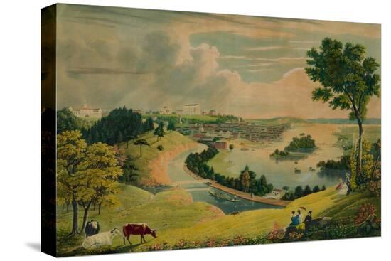 Stretched Canvas Print, , large