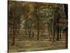 Richmond Park, 1914-Spencer Frederick Gore-Stretched Canvas