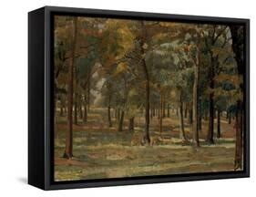 Richmond Park, 1914-Spencer Frederick Gore-Framed Stretched Canvas