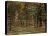 Richmond Park, 1914-Spencer Frederick Gore-Stretched Canvas
