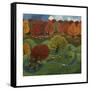 Richmond Park, 2013-Lisa Graa Jensen-Framed Stretched Canvas