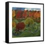 Richmond Park, 2013-Lisa Graa Jensen-Framed Stretched Canvas