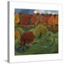 Richmond Park, 2013-Lisa Graa Jensen-Stretched Canvas