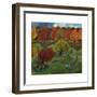 Richmond Park, 2013-Lisa Graa Jensen-Framed Art Print