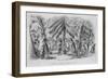 Richmond Park, Surrey-Pierce Egan-Framed Art Print