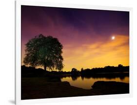 Richmond Park Tree at Night by Pen Ponds-Alex Saberi-Framed Photographic Print