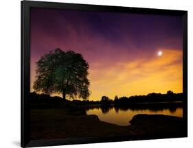 Richmond Park Tree at Night by Pen Ponds-Alex Saberi-Framed Photographic Print